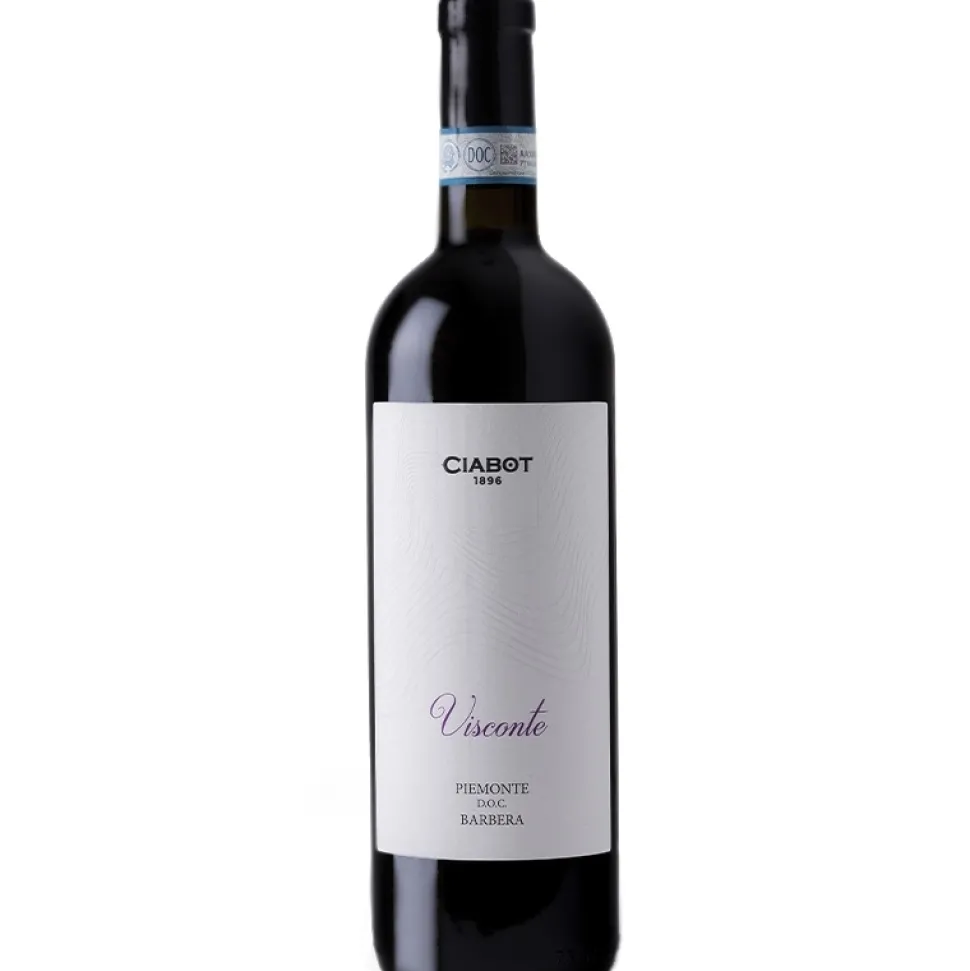 Ciabot Visconte Barbera | 0,75 l Flasche
